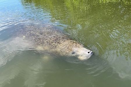 Book Your 6-Hour Kayak Fishing Tour In Central Florida