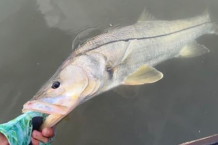 Reserve Your Guided Kayak Fishing Trips To Sandbars Near Melbourne Beach